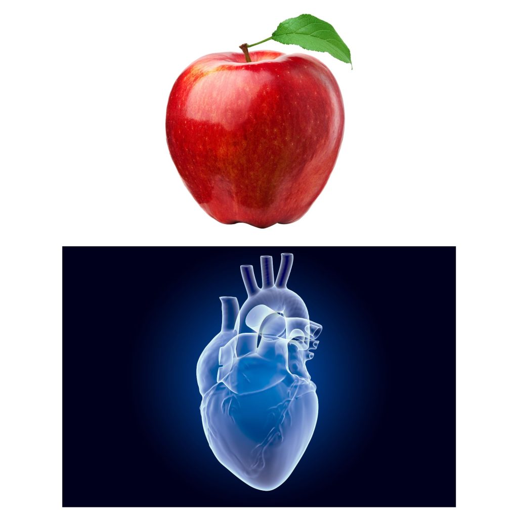 An Apple looks a bit like the Human Heart.