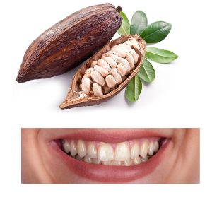 An open Cocoa Pod bears physical similarities to the teeth.