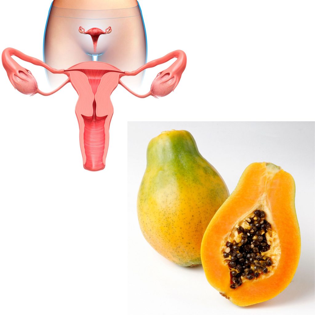 Papaya bears resemblance to some female organs