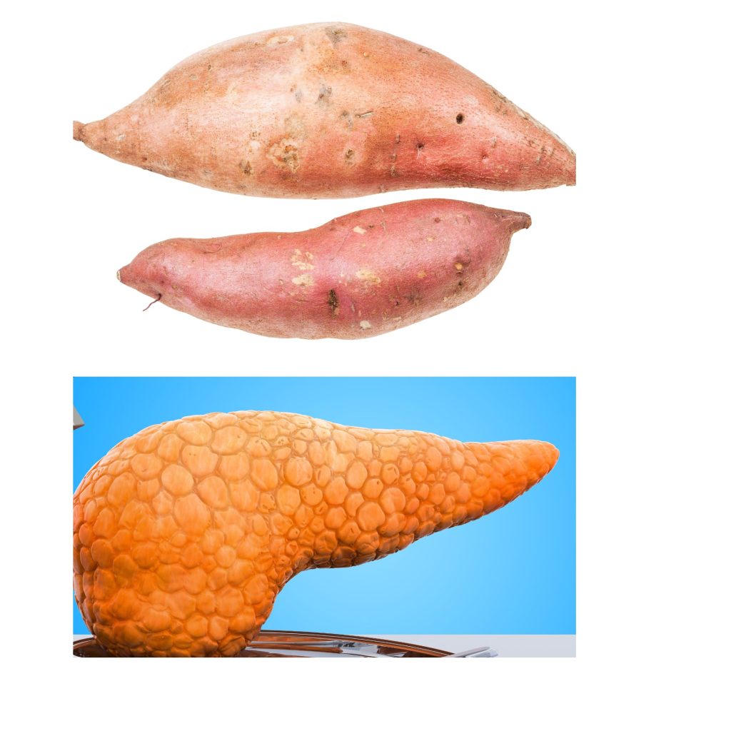 Sweet Potatoes bear physical similarities to the pancreas